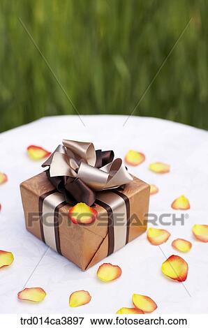 garden, day, daytime, daylight, outdoor, table, plant View Large Photo Image Stock Photo - garden, day, daytime, daylight, outdoor, table, plant. Fotosearch