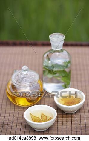 garden, day, daytime, daylight, outdoor, table, plant View Large Photo Image Stock Photo - garden, day, daytime, daylight, outdoor, table, plant. Fotosearch