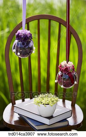 Stock Photo - garden, day, daytime, daylight, outdoor, chair, plant. Fotosearch