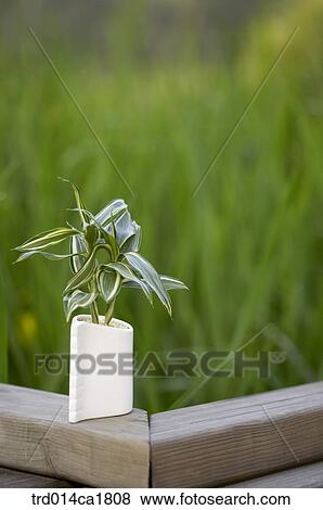 Stock Photo - oneperson, person, people, onepersononly. Fotosearch