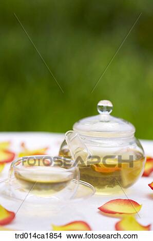 outdoor, garden, day, daytime, stilllife, tea, winecup View Large Photo Image Picture - outdoor, garden, day, daytime, stilllife, tea, winecup. Fotosearch