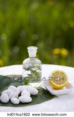 outdoor, garden, day, daytime, stilllife, table, glassbottle View Large Photo Image Stock Image - outdoor, garden, day, daytime, stilllife, table, glassbottle. Fotosearch
