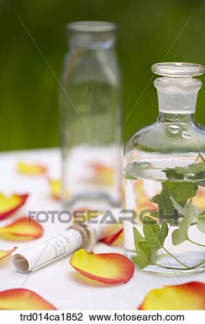 outdoor, garden, day, daytime, stilllife, table, flower View Large Photo Image Stock Image - outdoor, garden, day, daytime, stilllife, table, flower. Fotosearch