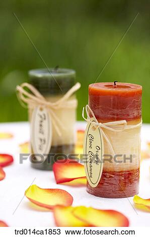 outdoor, garden, day, daytime, stilllife, table View Large Photo Image Stock Image - outdoor, garden, day, daytime, stilllife, table. Fotosearch