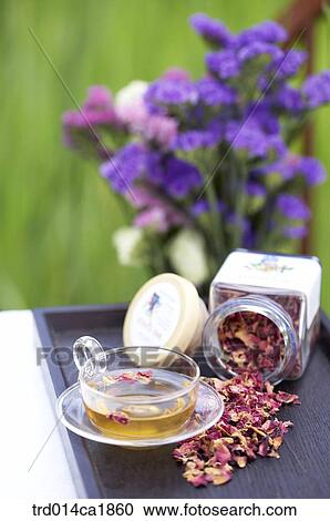 outdoor, garden, day, daytime, stilllife, table, plant View Large Photo Image Stock Image - outdoor, garden, day, daytime, stilllife, table, plant. Fotosearch