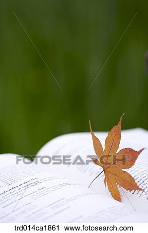 outdoor, garden, day, daytime, stilllife, book, books View Large Photo Image Stock Image - outdoor, garden, day, daytime, stilllife, book, books. Fotosearch