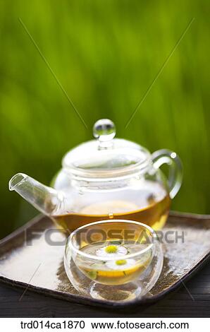 outdoor, garden, day, daytime, stilllife, closeup, close-up View Large Photo Image Stock Image - outdoor, garden, day, daytime, stilllife, closeup, close-up. Fotosearch