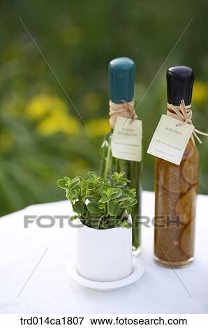 outdoor, garden, day, daytime, stilllife, table, flowerpot View Large Photo Image Stock Photo - outdoor, garden, day, daytime, stilllife, table, flowerpot. Fotosearch