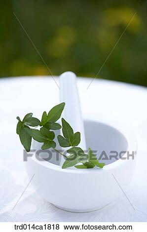 outdoor, garden, day, daytime, stilllife, vessel, receptacle View Large Photo Image Stock Photo - outdoor, garden, day, daytime, stilllife, vessel, receptacle. Fotosearch