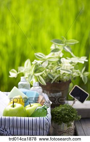 outdoor, garden, day, daytime, stilllife, flowerpot, flowers View Large Photo Image Stock Photo - outdoor, garden, day, daytime, stilllife, flowerpot, flowers. Fotosearch