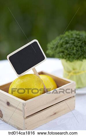 outdoor, garden, day, daytime, woodenbox, fruit, lemon View Large Photo Image Stock Photograph - outdoor, garden, day, daytime, woodenbox, fruit, lemon. Fotosearch