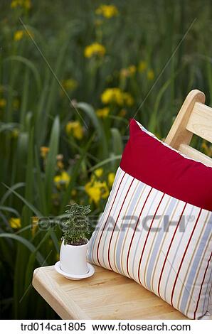 outdoor, garden, day, daytime, stilllife, chair, cushion View Large Photo Image Stock Photography - outdoor, garden, day, daytime, stilllife, chair, cushion. Fotosearch