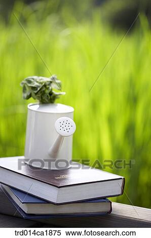 outdoor, garden, day, daytime, stilllife, kettle, teakettle View Large Photo Image Stock Photography - outdoor, garden, day, daytime, stilllife, kettle, teakettle. Fotosearch