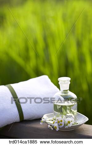 outdoor, garden, day, daytime, stilllife, glassbottle, water View Large Photo Image Stock Photography - outdoor, garden, day, daytime, stilllife, glassbottle, water. Fotosearch