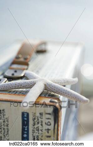 Stock Photography - knapsack, pack, rucksack, bag, suitcase, suitcase, pack. Fotosearch