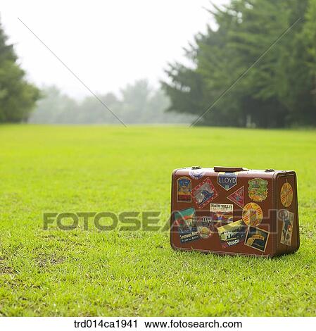 oneperson, person, people, onepersononly View Large Photo Image Stock Image - oneperson, person, people, onepersononly. Fotosearch