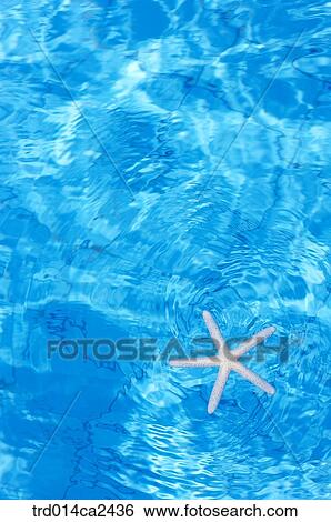 oneperson, person, people, onepersononly View Large Photo Image Stock Photograph - oneperson, person, people, onepersononly. Fotosearch