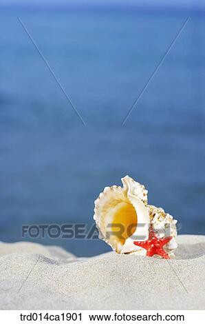 Stock Image - outdoor, summer, day, daytime, sea, ocean. Fotosearch