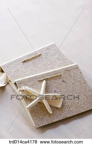 starfish, starfishshape, tag, album, book View Large Photo Image Stock Photo - starfish, starfishshape, tag, album, book. Fotosearch