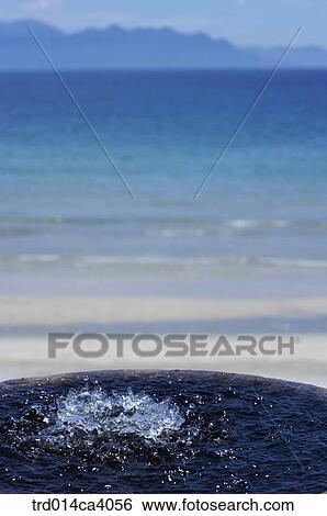 beach, day, daytime, daylight, outdoor, water, perspective View Large Photo Image Stock Photograph - beach, day, daytime, daylight, outdoor, water, perspective. Fotosearch