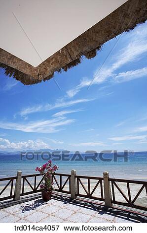 beach, day, daytime, daylight, water, wave, plant View Large Photo Image Stock Photo - beach, day, daytime, daylight, water, wave, plant. Fotosearch