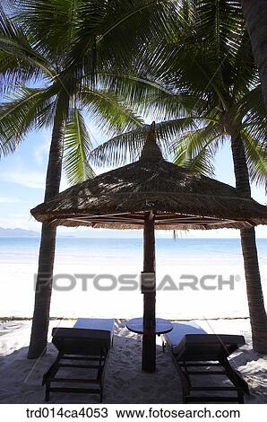 beach, sightseeing, tourism, touristattraction, tropics, tropice, thetorridzone View Large Photo Image Stock Image - beach, sightseeing, tourism, touristattraction, tropics, tropice, thetorridzone. Fotosearch