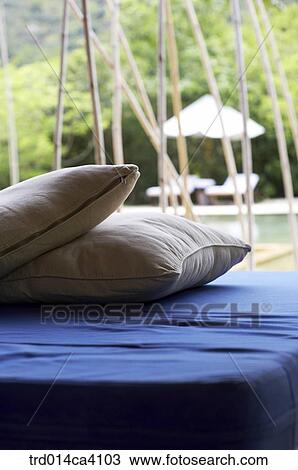 bed, cushion, chair, beachchair, parasol, plant, vegetation View Large Photo Image Stock Image - bed, cushion, chair, beachchair, parasol, plant, vegetation. Fotosearch