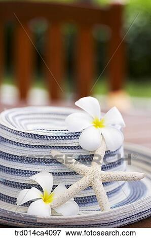 hat, cap, day, daytime, daylight, outdoor, pattern View Large Photo Image Stock Photo - hat, cap, day, daytime, daylight, outdoor, pattern. Fotosearch