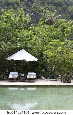 mountain, plant, vegetation, tree, wood, parasol, reflection View Large Photo Image Stock Image - mountain, plant, vegetation, tree, wood, parasol, reflection. Fotosearch