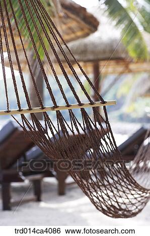 netbed, outdoor, day, daytime, daylight, plant, vegetation View Large Photo Image Stock Photograph - netbed, outdoor, day, daytime, daylight, plant, vegetation. Fotosearch