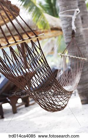 netbed, outdoor, day, daytime, daylight, plant, vegetation View Large Photo Image Stock Photography - netbed, outdoor, day, daytime, daylight, plant, vegetation. Fotosearch