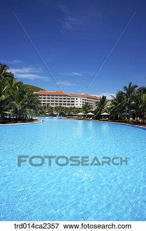 Stock Photo - outdoor, day, daytime, vietnam, wood, tree, shrub. Fotosearch
