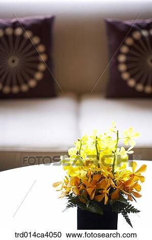 plant, vegetation, flower, blossom, bloom, floral, yellow View Large Photo Image Stock Image - plant, vegetation, flower, blossom, bloom, floral, yellow. Fotosearch
