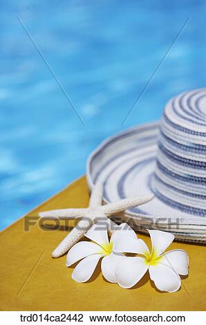 severalthings, outdoor, day, daytime, stilllife, knapsack, pack View Large Photo Image Stock Image - severalthings, outdoor, day, daytime, stilllife, knapsack, pack. Fotosearch