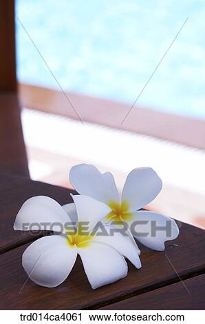 swimmingplace, swimmingpool, day, daytime, daylight, water, outdoor View Large Photo Image Stock Image - swimmingplace, swimmingpool, day, daytime, daylight, water, outdoor. Fotosearch