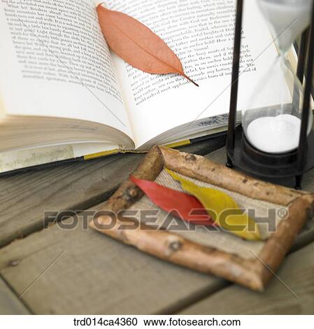 book, fall, leaves, leafage, foliage, frame, autumn View Large Photo Image Stock Image - book, fall, leaves, leafage, foliage, frame, autumn. Fotosearch
