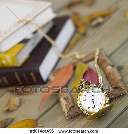 Stock Image - book, fall, leaves, leafage, foliage, frame, autumn. Fotosearch