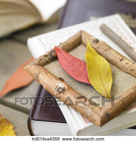 book, fall, leaves, leafage, foliage, frame, autumn View Large Photo Image Stock Photo - book, fall, leaves, leafage, foliage, frame, autumn. Fotosearch