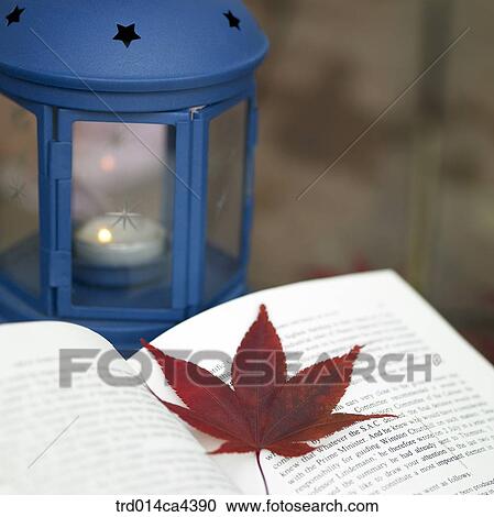 book, mapleleaf, maple, leaves, flashlight, electrictorch, tealight View Large Photo Image Stock Image - book, mapleleaf, maple, leaves, flashlight, electrictorch, tealight. Fotosearch