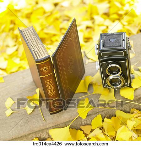 classiccamera, fall, camera, books, book, ginkgoleaf, autumn View Large Photo Image Stock Photograph - classiccamera, fall, camera, books, book, ginkgoleaf, autumn. Fotosearch