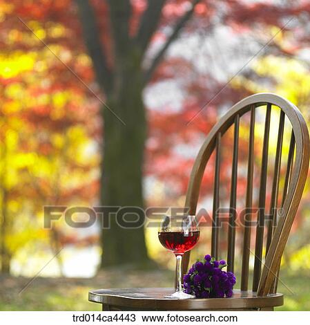 demitasse, fall, teacup, glasscup, glass, mug, autumn View Large Photo Image Stock Image - demitasse, fall, teacup, glasscup, glass, mug, autumn. Fotosearch