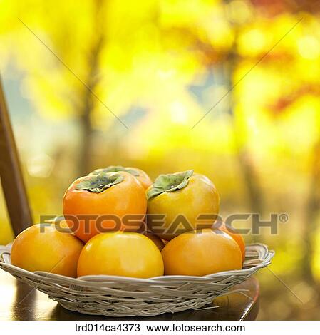 fall, basket, persimmon, fruit, autumn View Large Photo Image Stock Image - fall, basket, persimmon, fruit, autumn. Fotosearch