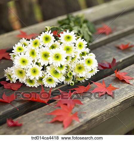 flower, blossom, bloom, floral, bunchofflowers, bunch, bundle View Large Photo Image Stock Photo - flower, blossom, bloom, floral, bunchofflowers, bunch, bundle. Fotosearch