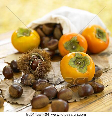 Picture - foliage, fall, night, persimmon, fruit, leafage, autumn. Fotosearch
