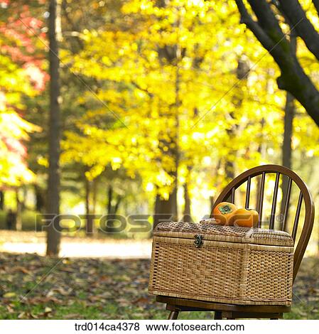 fruit, persimmon, basket, autumn, fall, wood, tree View Large Photo Image Stock Photo - fruit, persimmon, basket, autumn, fall, wood, tree. Fotosearch