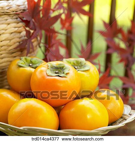 fruit, persimmon, basket, mapleleaf, maple, leaves View Large Photo Image Stock Photo - fruit, persimmon, basket, mapleleaf, maple, leaves. Fotosearch