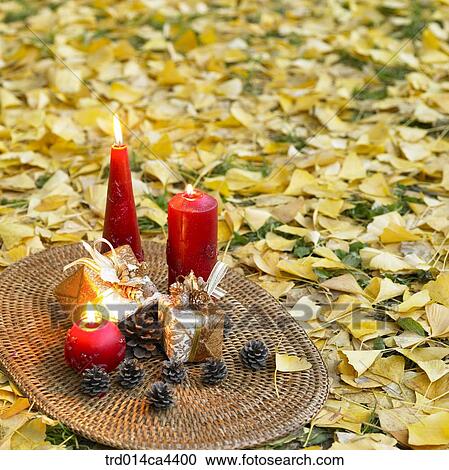 Stock Image - ginkgoleaf, fall, leaves, leafage, foliage, leaves, autumn. Fotosearch