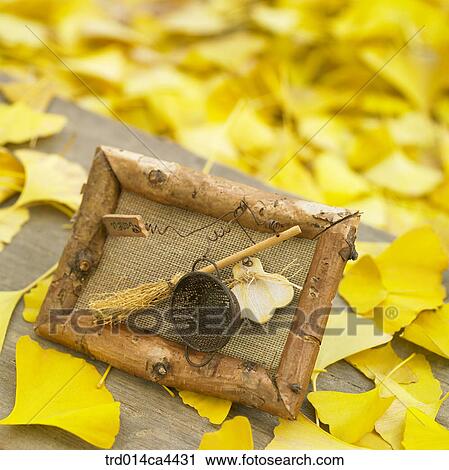 leafage, fall, foliage, leaves, ginkgoleaf, leaves, autumn View Large Photo Image Stock Image - leafage, fall, foliage, leaves, ginkgoleaf, leaves, autumn. Fotosearch