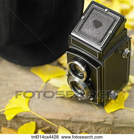 Stock Photo - leafage, fall, foliage, leaves, ginkgoleaf, leaves, autumn. Fotosearch