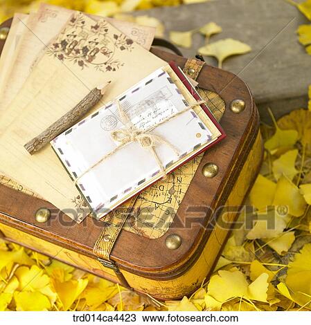 leaves, fall, ginkgoleaf, fallenleaves, leaffall, foliage, autumn View Large Photo Image Stock Image - leaves, fall, ginkgoleaf, fallenleaves, leaffall, foliage, autumn. Fotosearch